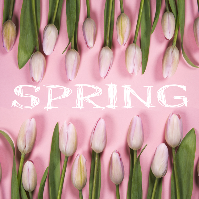 MARCH – THE MONTH OF SPRING