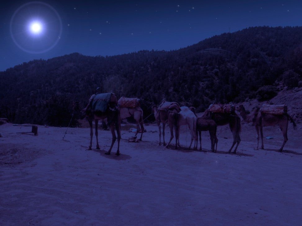 The Christmas Star