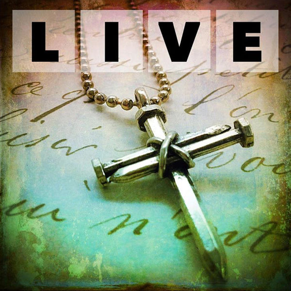 Nail Cross Necklace on ball chain - Forgiven Jewelry